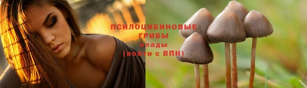 дживик Горнозаводск